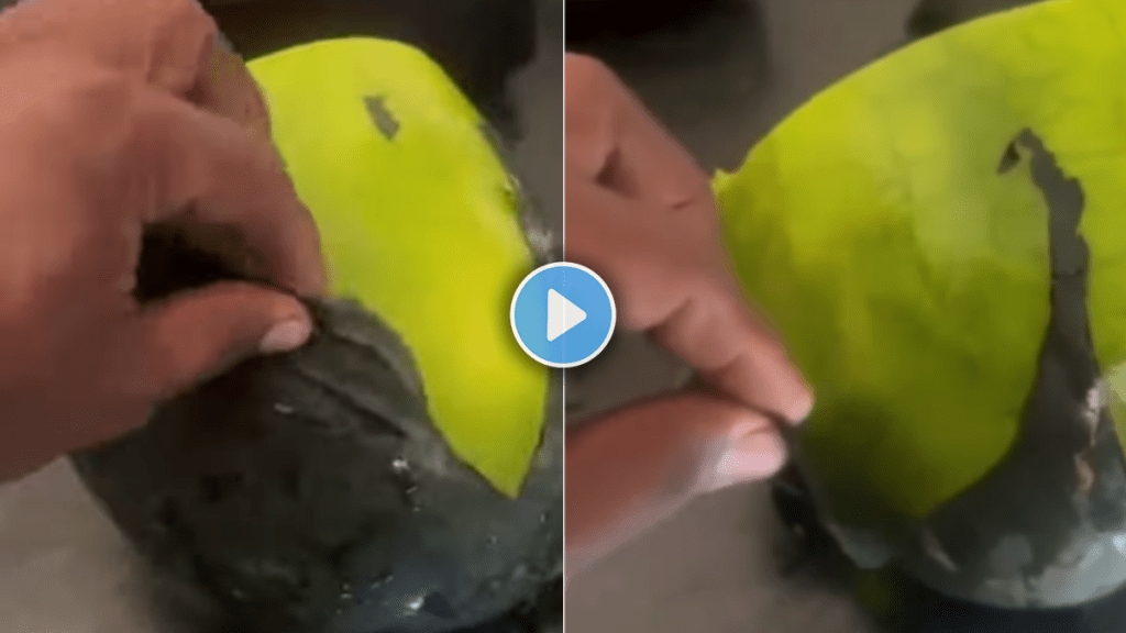 Fake watermelon how to identify fake watermelon shocking video of plastic watermelon