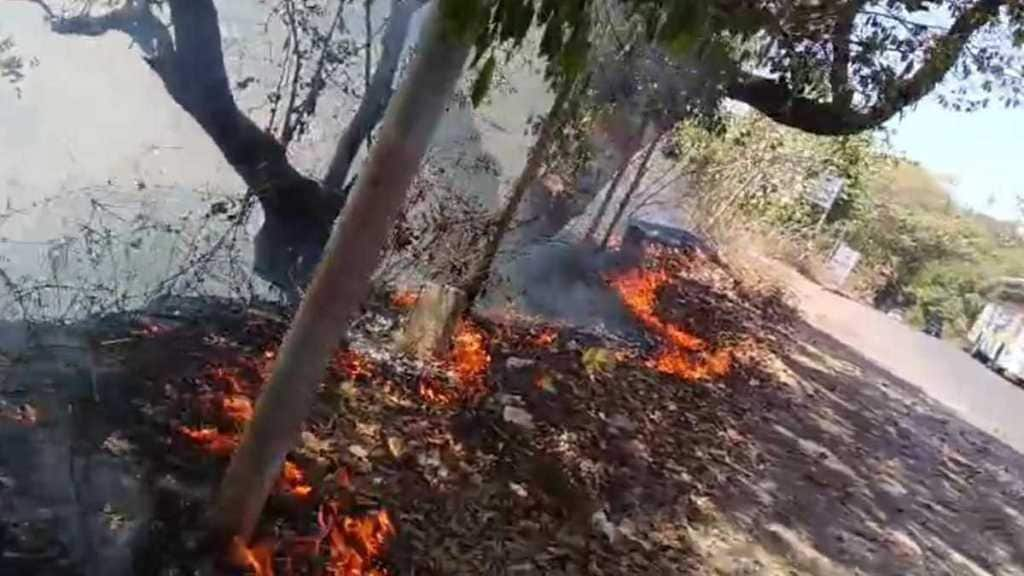 Panchgani forest fire news in marathi