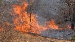 Increase in wildfires in Konkan due to rising heat ratnagiri news