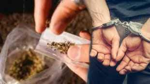 anti narcotics squad seized ganja in pune