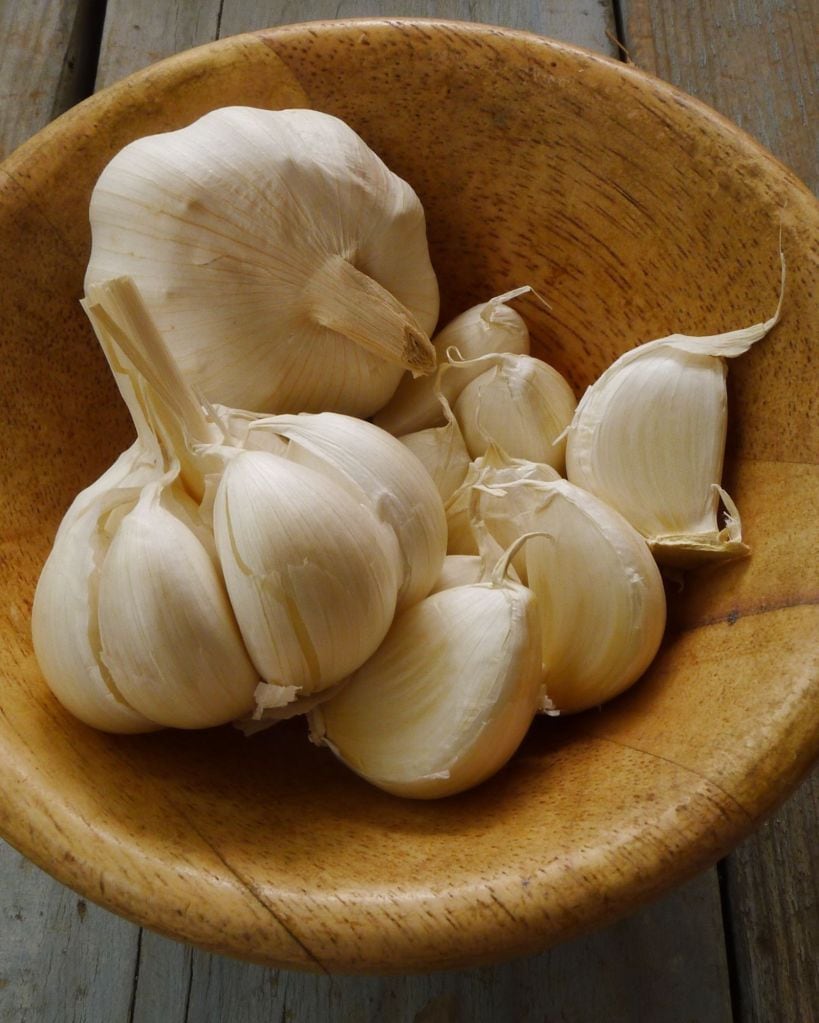 garlic