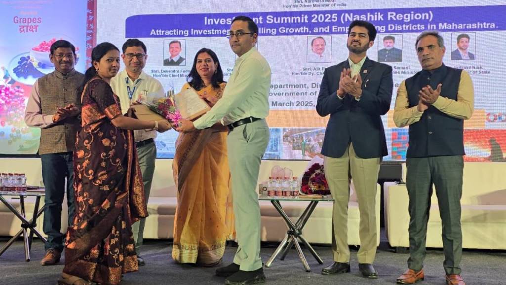 investment summit 2025