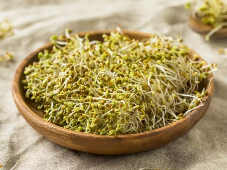 Alfalfa Sprouts