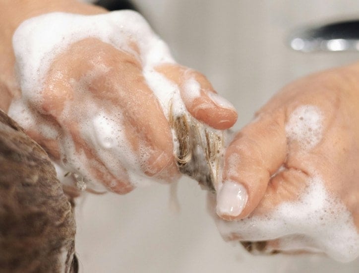 Ancient Indian hair care traditions