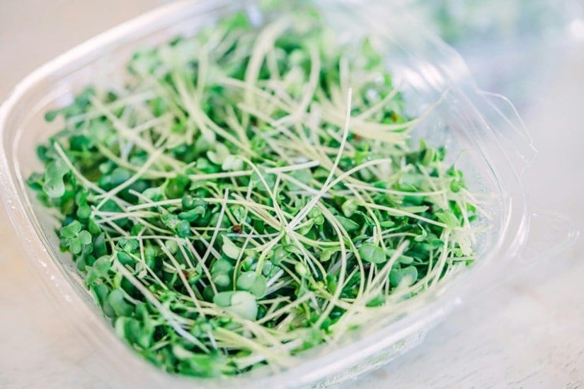 Broccoli Sprouts