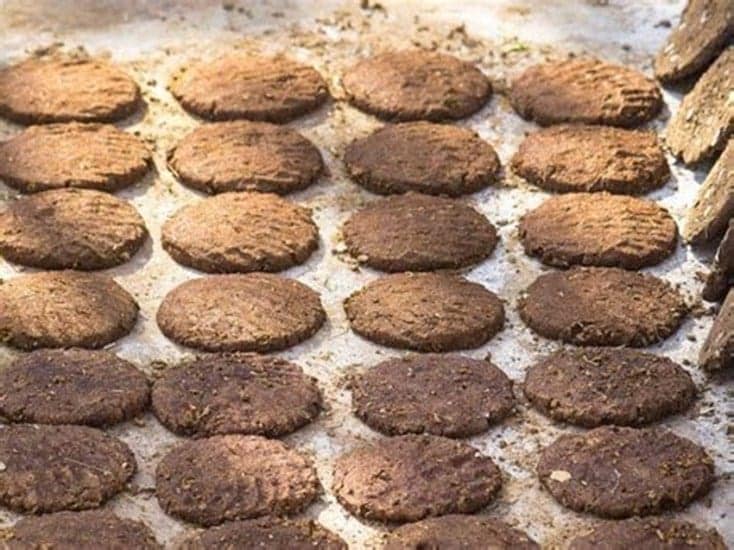 Cow dung cakes in Holi