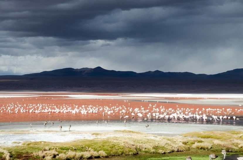 Laguna Colorada 2