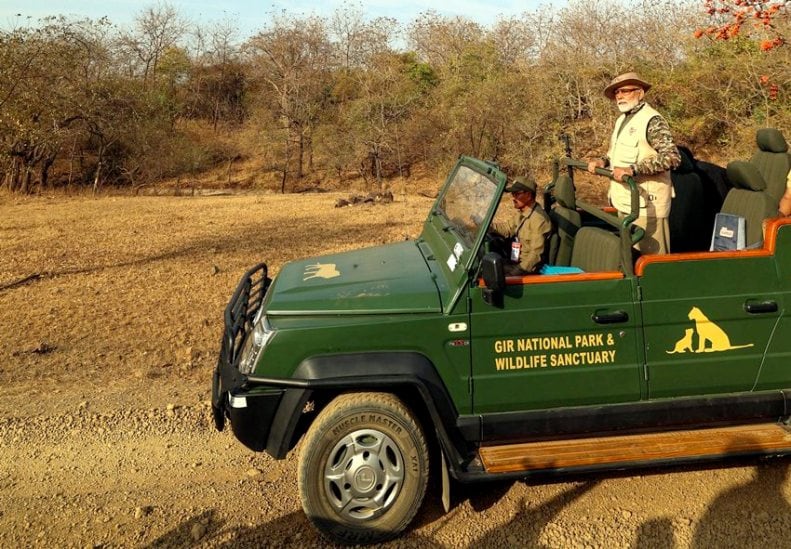 Narendra Modi Gujarat Gir Lion Safari