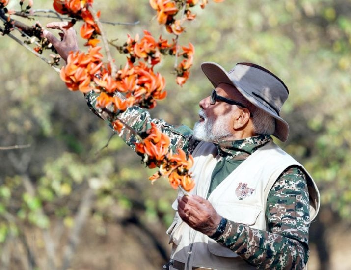 Gir National Park