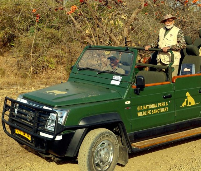 PM Modi Wildlife Experience