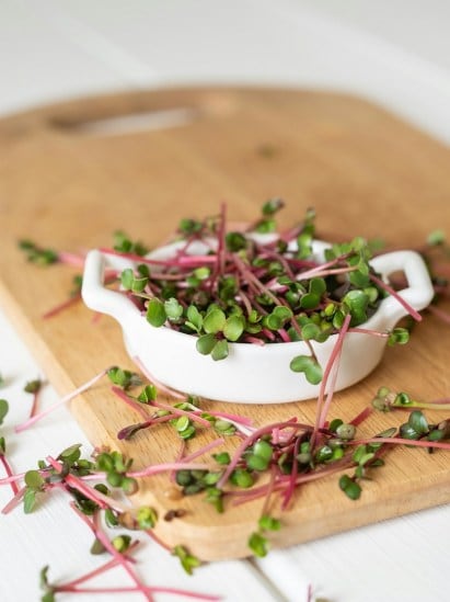 Radish Sprouts