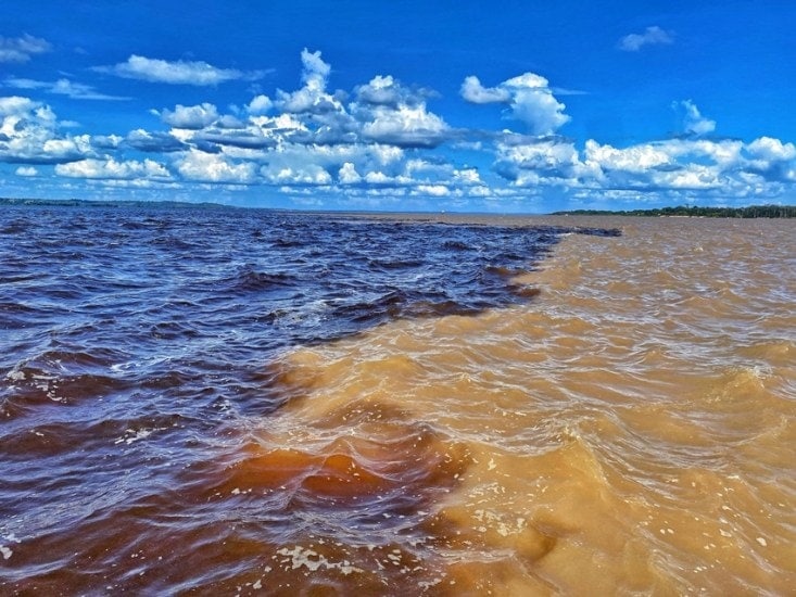 Rio Negro 1