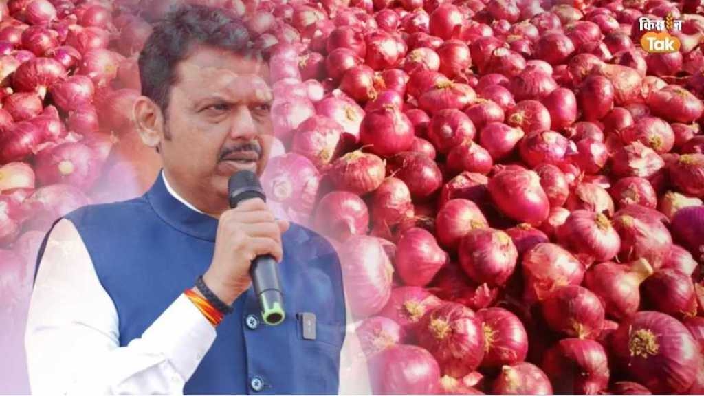 onion producers union demand to cancel 20 percent onion export duty