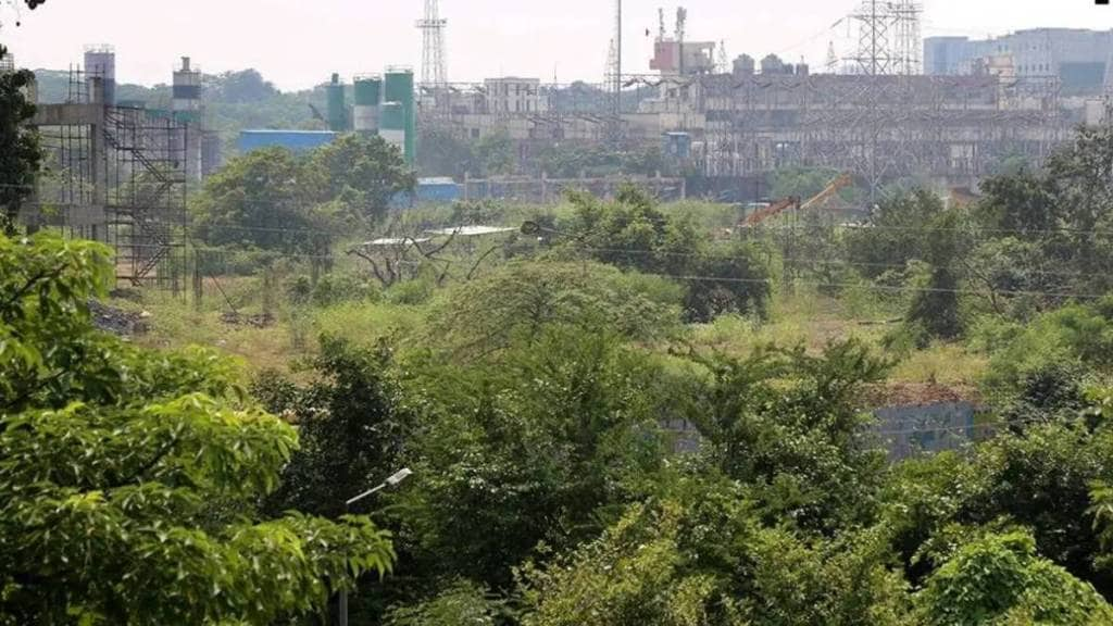 tree cutting on ghodbunder