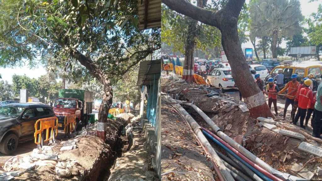 concrete road construction hit tree root in mumbai