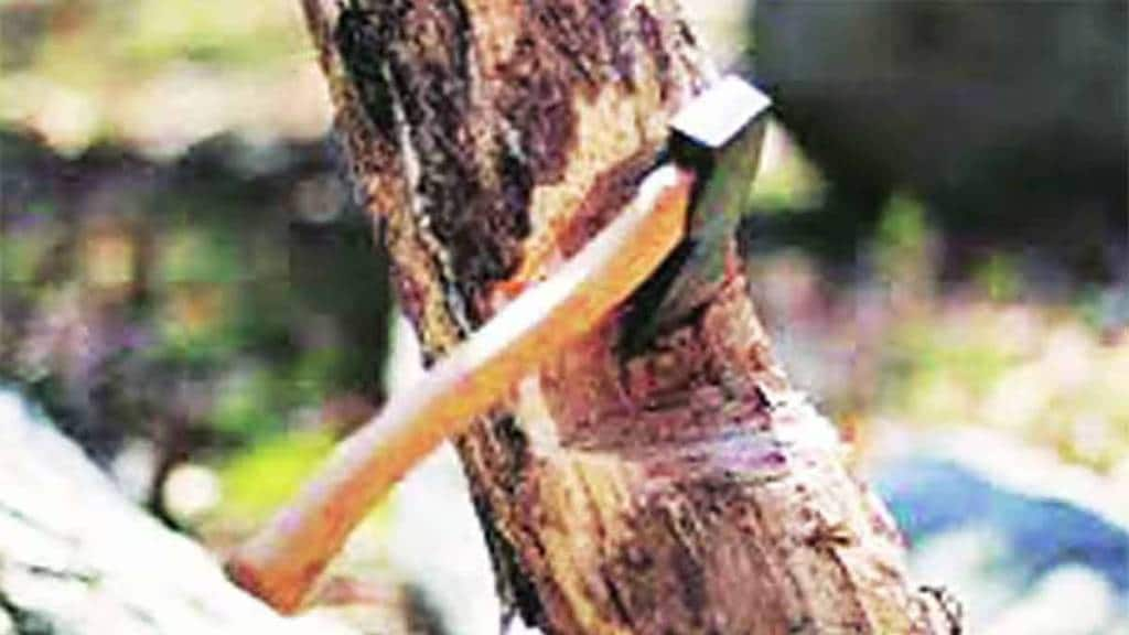 Tree protest during the hearing on objections to cutting down trees from ITI Bridge to Vavre Nagar in CIDCO