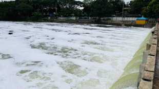 sugar factories discharge polluted water into river