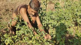farmers