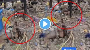 Shocking video of pune pipeline Jyoti Chowk water valve risk to public health video goes viral