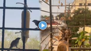 Women Started keeping water and food for the sparrows